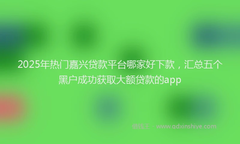 2025年热门嘉兴贷款平台哪家好下款，汇总五个黑户成功获取大额贷款的app