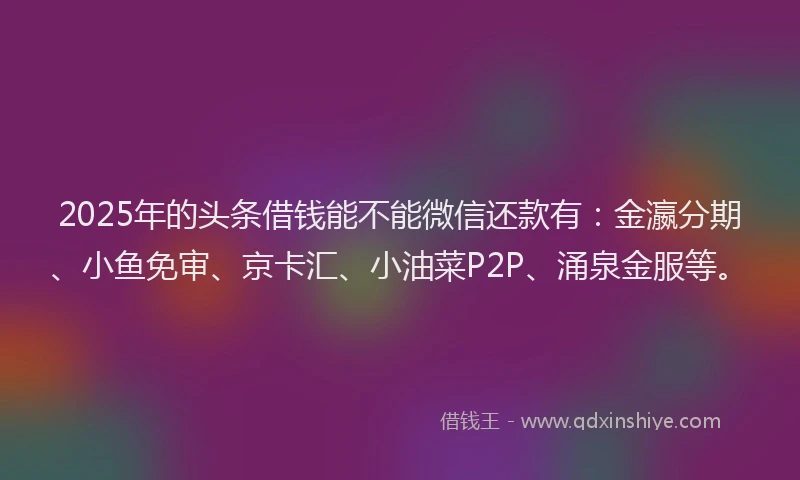 2025年的头条借钱能不能微信还款有：金瀛分期、小鱼免审、京卡汇、小油菜P2P、涌泉金服等。