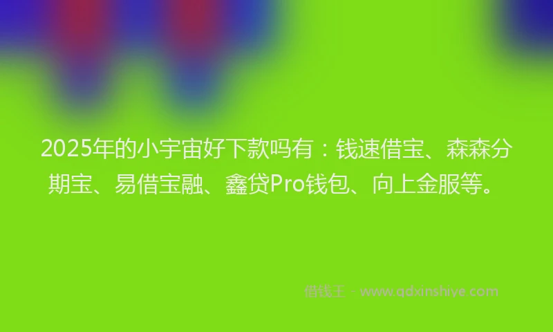 2025年的小宇宙好下款吗有:钱速借宝、森森分期宝、易借宝融、鑫贷Pro钱包、向上金服等。