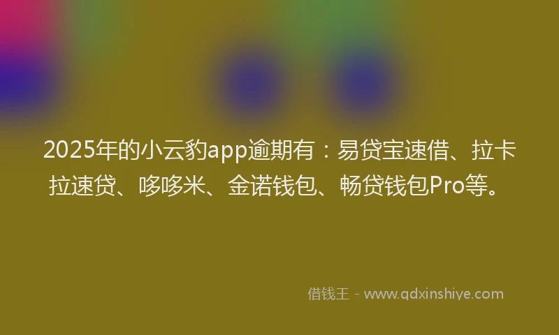 2025年的小云豹app逾期有：易贷宝速借、拉卡拉速贷、哆哆米、金诺钱包、畅贷钱包Pro等。