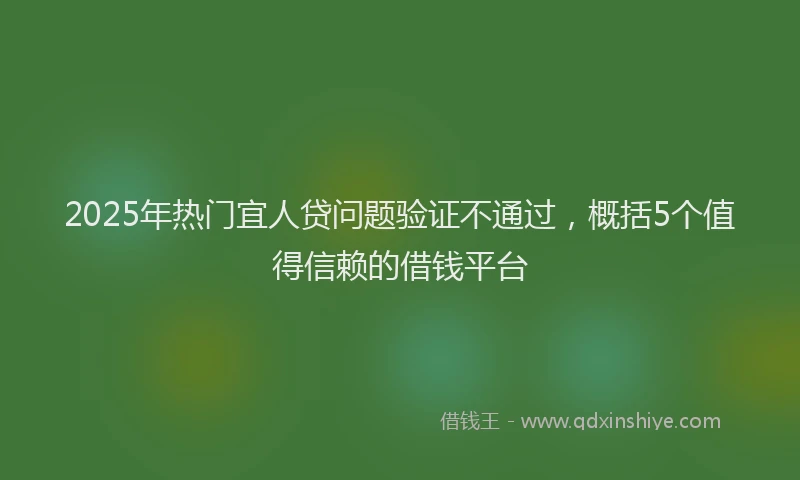 2025年热门宜人贷问题验证不通过，概括5个值得信赖的借钱平台