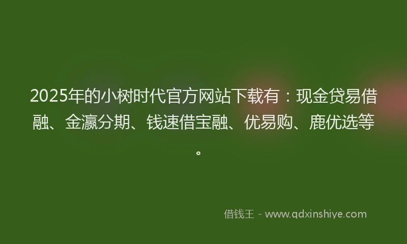 2025年的小树时代官方网站下载有：现金贷易借融、金瀛分期、钱速借宝融、优易购、鹿优选等。