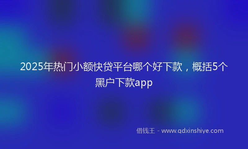 2025年热门小额快贷平台哪个好下款，概括5个黑户下款app