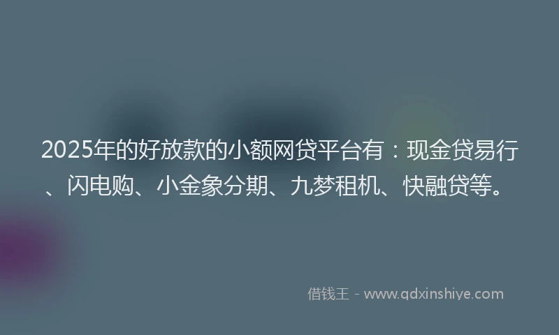 2025年的好放款的小额网贷平台有：现金贷易行、闪电购、小金象分期、九梦租机、快融贷等。