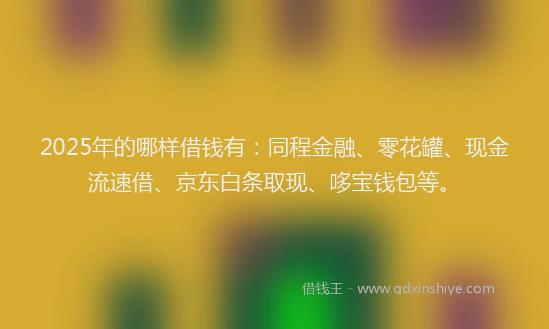 2025年的哪样借钱有：同程金融、零花罐、现金流速借、京东白条取现、哆宝钱包等。