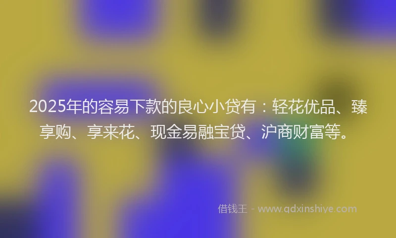 2025年的容易下款的良心小贷有：轻花优品、臻享购、享来花、现金易融宝贷、沪商财富等。