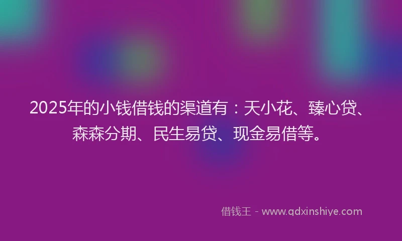 2025年的小钱借钱的渠道有：天小花、臻心贷、森森分期、民生易贷、现金易借等。