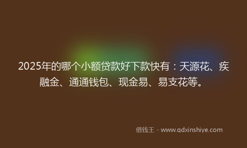 2025年的哪个小额贷款好下款快有：天源花、疾融金、通通钱包、现金易、易支花等。