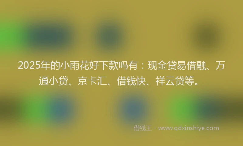 2025年的小雨花好下款吗有：现金贷易借融、万通小贷、京卡汇、借钱快、祥云贷等。