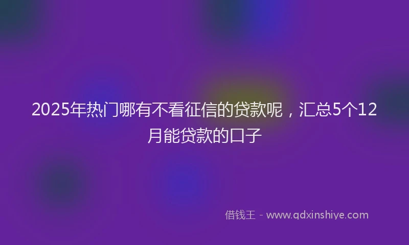 2025年热门哪有不看征信的贷款呢，汇总5个12月能贷款的口子