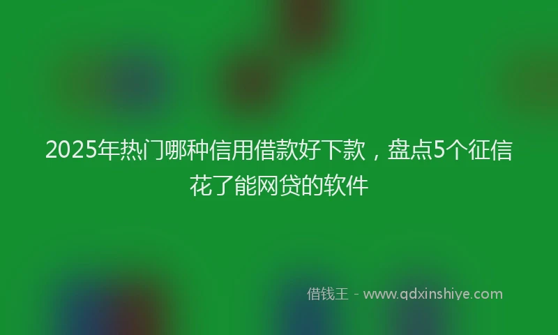2025年热门哪种信用借款好下款，盘点5个征信花了能网贷的软件