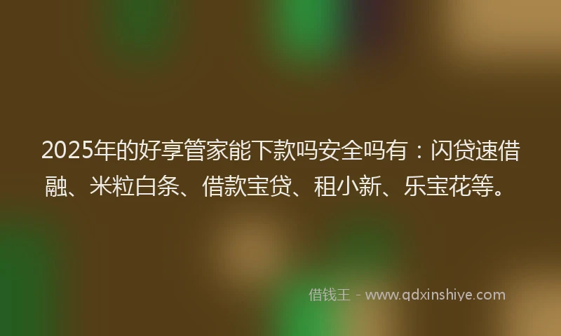 2025年的好享管家能下款吗安全吗有：闪贷速借融、米粒白条、借款宝贷、租小新、乐宝花等。