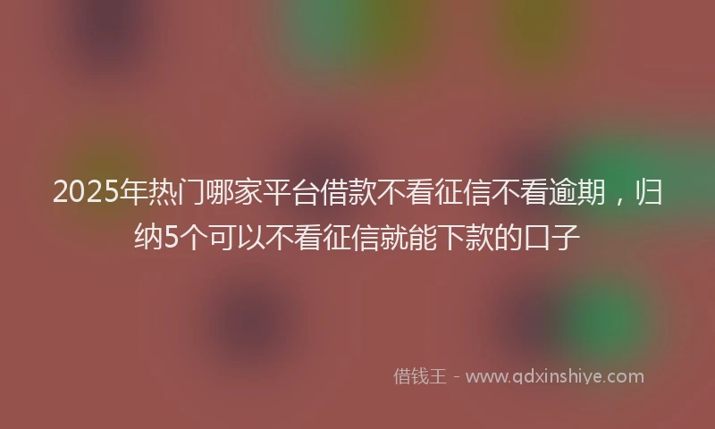 2025年热门哪家平台借款不看征信不看逾期，归纳5个可以不看征信就能下款的口子