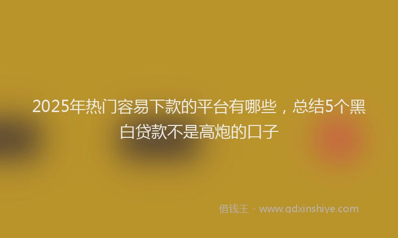 2025年热门容易下款的平台有哪些，总结5个黑白贷款不是高炮的口子