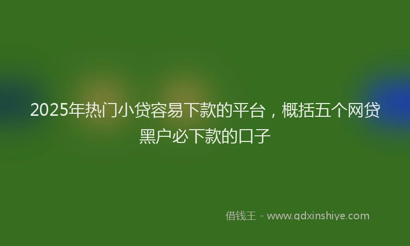 2025年热门小贷容易下款的平台，概括五个网贷黑户必下款的口子
