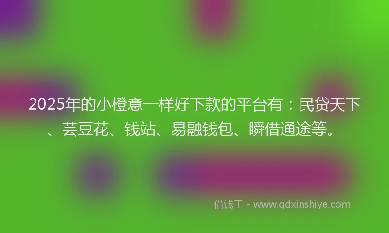 2025年的小橙意一样好下款的平台有:民贷天下、芸豆花、钱站、易融钱包、瞬借通途等。