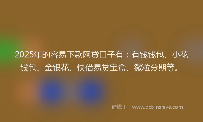 2025年的容易下款网贷口子有：有钱钱包、小花钱包、金银花、快借易贷宝盒、微粒分期等。