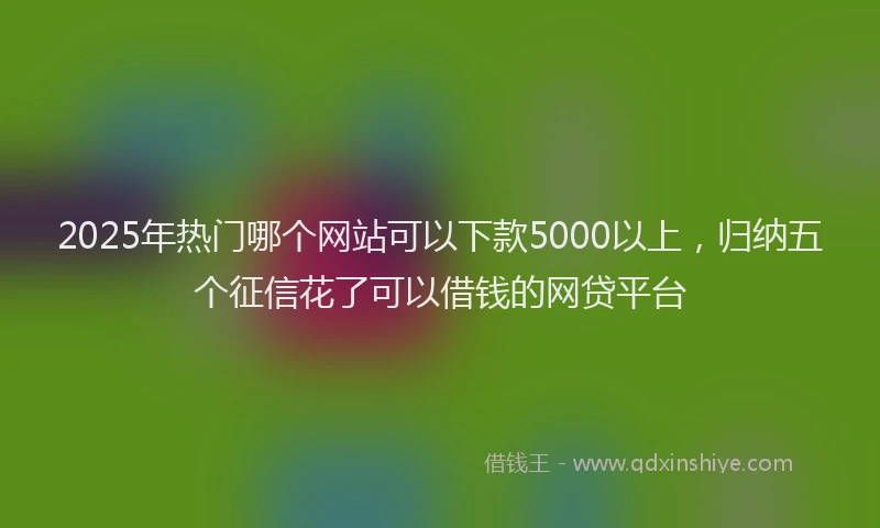2025年热门哪个网站可以下款5000以上，归纳五个征信花了可以借钱的网贷平台