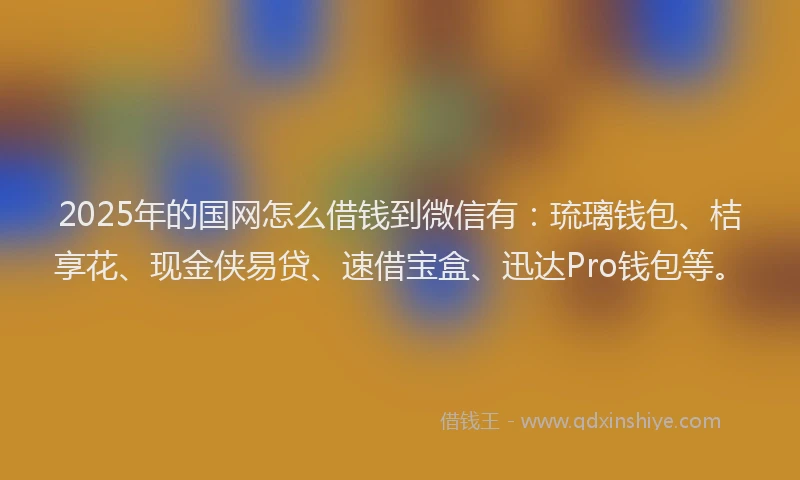 2025年的国网怎么借钱到微信有：琉璃钱包、桔享花、现金侠易贷、速借宝盒、迅达Pro钱包等。