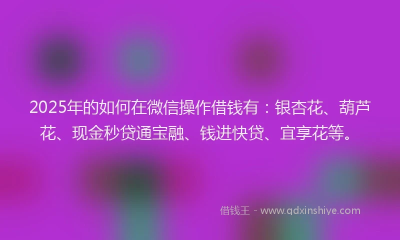 2025年的如何在微信操作借钱有：银杏花、葫芦花、现金秒贷通宝融、钱进快贷、宜享花等。