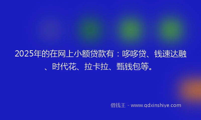 2025年的在网上小额贷款有：哆哆贷、钱速达融、时代花、拉卡拉、甄钱包等。