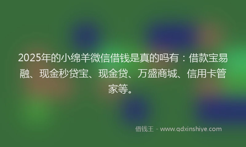2025年的小绵羊微信借钱是真的吗有:借款宝易融、现金秒贷宝、现金贷、万盛商城、信用卡管家等。