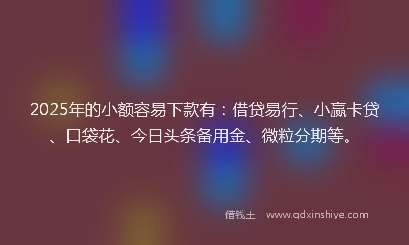 2025年的小额容易下款有：借贷易行、小赢卡贷、口袋花、今日头条备用金、微粒分期等。
