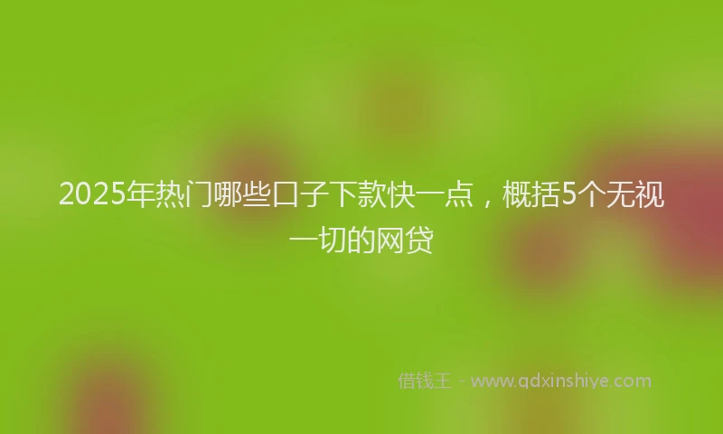 2025年热门哪些口子下款快一点，概括5个无视一切的网贷