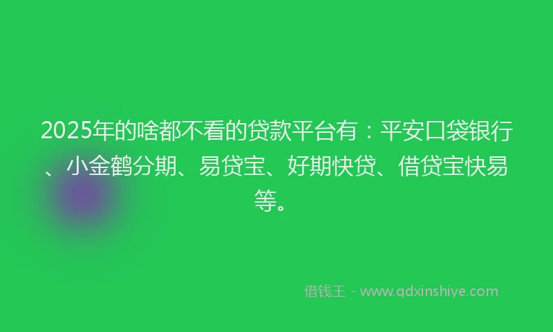 2025年的啥都不看的贷款平台有：平安口袋银行、小金鹤分期、易贷宝、好期快贷、借贷宝快易等。