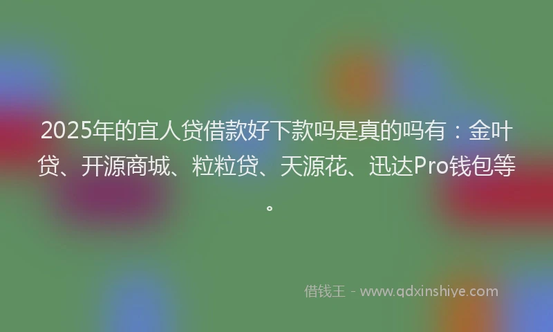 2025年的宜人贷借款好下款吗是真的吗有:金叶贷、开源商城、粒粒贷、天源花、迅达Pro钱包等。