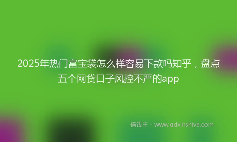 2025年热门富宝袋怎么样容易下款吗知乎，盘点五个网贷口子风控不严的app