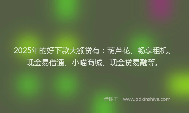 2025年的好下款大额贷有：葫芦花、畅享租机、现金易借通、小喵商城、现金贷易融等。