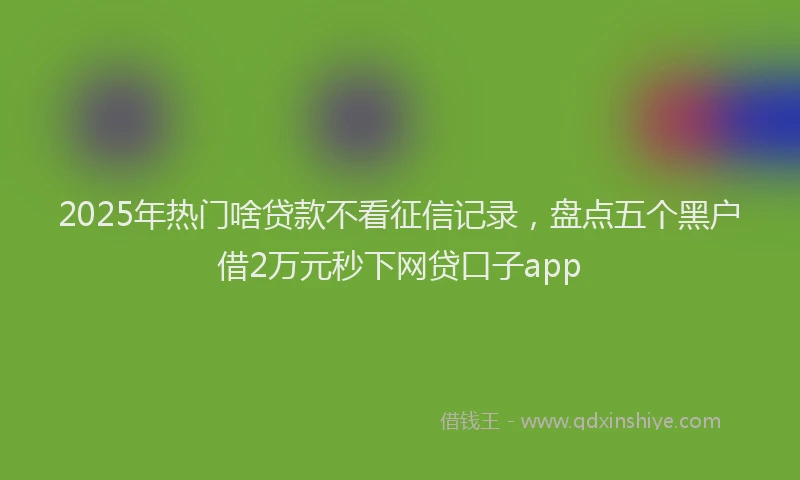 2025年热门啥贷款不看征信记录，盘点五个黑户借2万元秒下网贷口子app