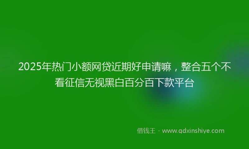 2025年热门小额网贷近期好申请嘛，整合五个不看征信无视黑白百分百下款平台