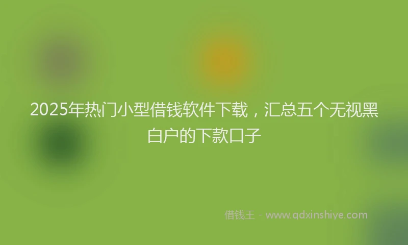 2025年热门小型借钱软件下载，汇总五个无视黑白户的下款口子