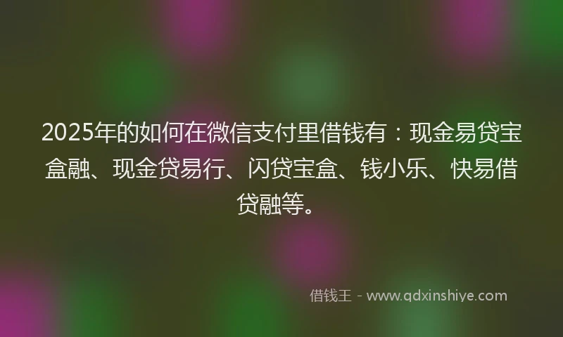 2025年的如何在微信支付里借钱有：现金易贷宝盒融、现金贷易行、闪贷宝盒、钱小乐、快易借贷融等。