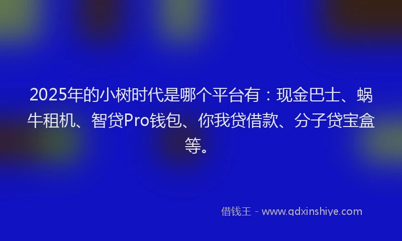 2025年的小树时代是哪个平台有：现金巴士、蜗牛租机、智贷Pro钱包、你我贷借款、分子贷宝盒等。