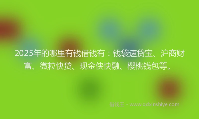 2025年的哪里有钱借钱有：钱袋速贷宝、沪商财富、微粒快贷、现金侠快融、樱桃钱包等。