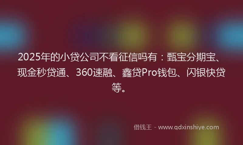 2025年的小贷公司不看征信吗有：甄宝分期宝、现金秒贷通、360速融、鑫贷Pro钱包、闪银快贷等。