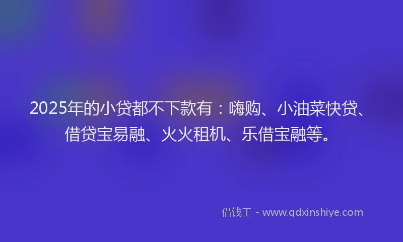 2025年的小贷都不下款有：嗨购、小油菜快贷、借贷宝易融、火火租机、乐借宝融等。