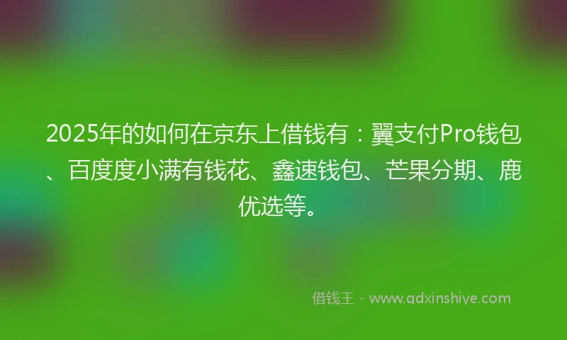 2025年的如何在京东上借钱有：翼支付Pro钱包、百度度小满有钱花、鑫速钱包、芒果分期、鹿优选等。