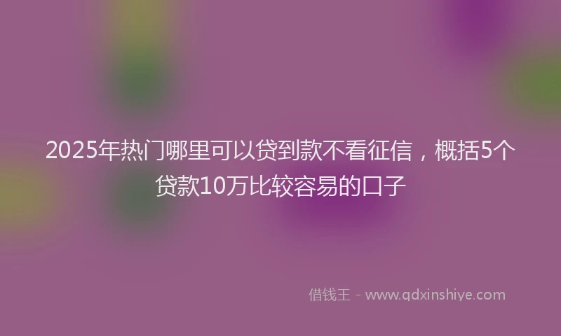 2025年热门哪里可以贷到款不看征信，概括5个贷款10万比较容易的口子