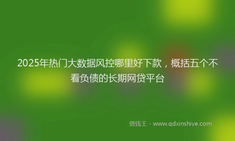 2025年热门大数据风控哪里好下款，概括五个不看负债的长期网贷平台