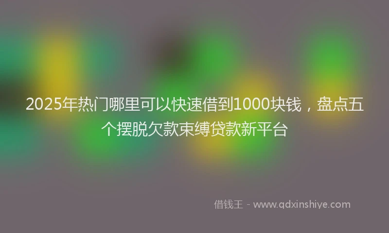 2025年热门哪里可以快速借到1000块钱，盘点五个摆脱欠款束缚贷款新平台
