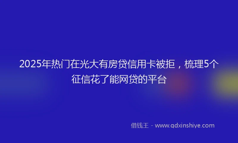 2025年热门在光大有房贷信用卡被拒，梳理5个征信花了能网贷的平台