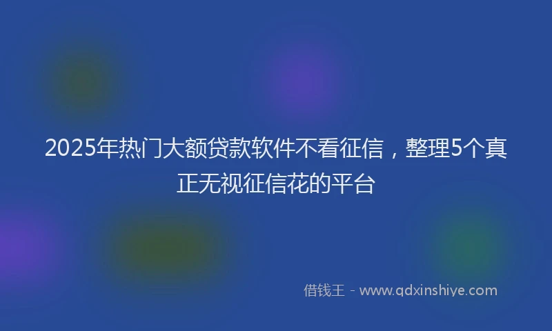 2025年热门大额贷款软件不看征信，整理5个真正无视征信花的平台