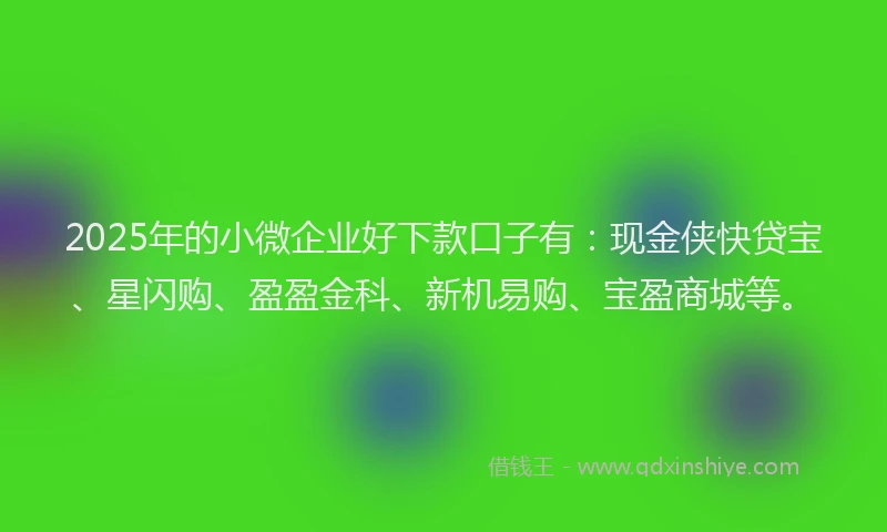 2025年的小微企业好下款口子有：现金侠快贷宝、星闪购、盈盈金科、新机易购、宝盈商城等。
