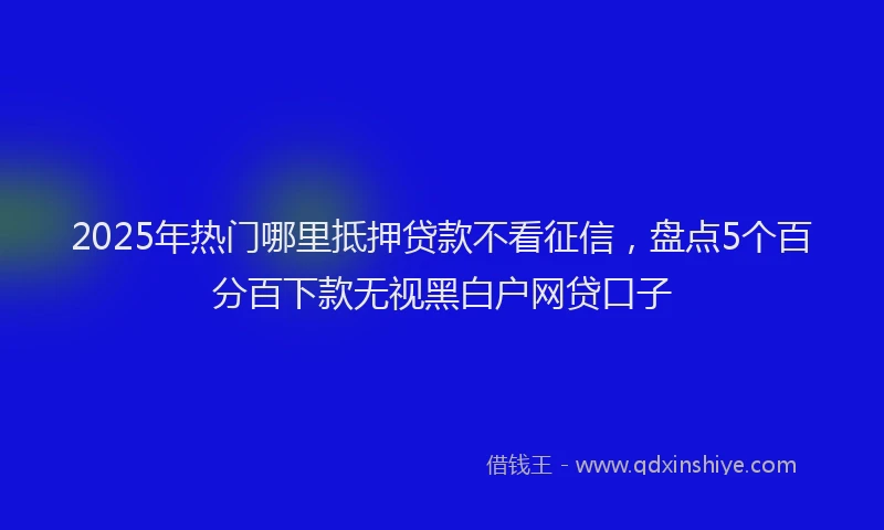 2025年热门哪里抵押贷款不看征信，盘点5个百分百下款无视黑白户网贷口子