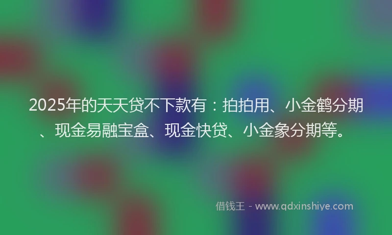 2025年的天天贷不下款有：拍拍用、小金鹤分期、现金易融宝盒、现金快贷、小金象分期等。