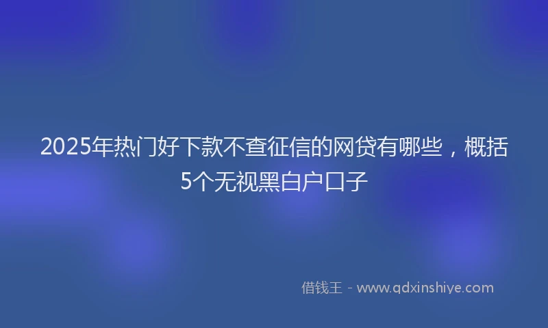 2025年热门好下款不查征信的网贷有哪些，概括5个无视黑白户口子